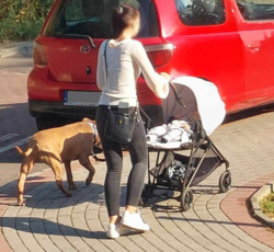 42568d5b-eedf-4c65-98bf-4b9c60e92bb0