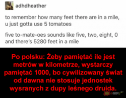 52f93393-d316-4377-8caa-d6d81891b32c