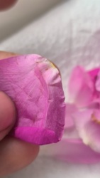 4a4e9cf5-016a-4ed3-8d4c-443449b54dc0