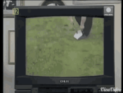 5007ea2d-4c95-4bda-9027-672804232470