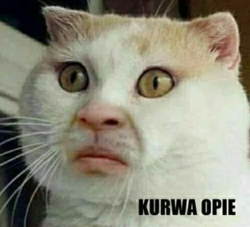 51c67be3-97c2-4e62-9c01-9f97160f86fd