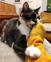 617db211-4330-49a7-974e-0100b0f5f2e0