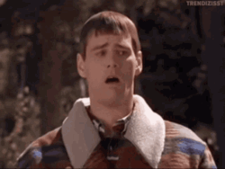 3aa2f88b-11d8-420b-9787-5d8970eb44fe