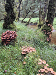 70a14076-32c3-4b73-a027-c97ef042e752