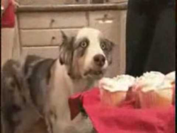 5b5dc096-1256-4726-8286-940a659b9517