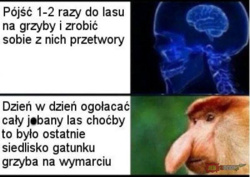 697f336c-ba71-4326-9644-3de1ee85c630