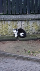 a733cd9a-f87e-41c5-8649-faecf804c369