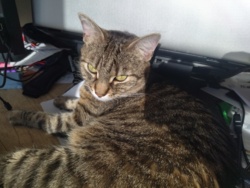 d22c8164-9844-42e6-a7cc-b7d036ccaa6e