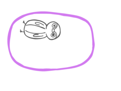 928ada55-8949-4c9e-8407-4ec21855bf2b