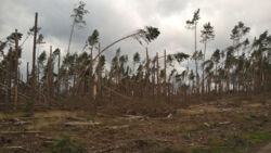 dd504c5d-de9d-4592-b027-14ea529ca08a