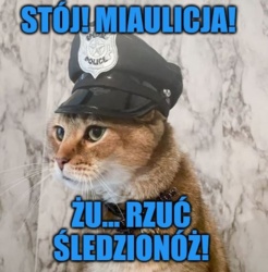 7551acde-940f-426a-b915-ff46ee8ef4e4