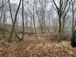 53e37bce-d5c3-4f54-a0fb-ca350ee427a6