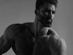 e0791c21-c0f7-4f65-ad6c-831dde713de9