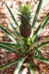 3bff5b03-e2bb-4b7d-9e99-1c4bbaa21597