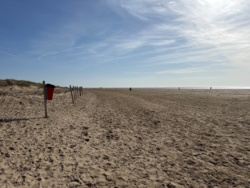 c30cf4e2-00eb-4d7a-924f-6c4841b1e3af