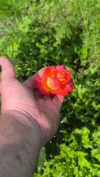 4f04a137-ba78-445b-9b78-92f73b0f1198