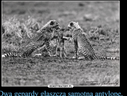 de369ba1-87ac-4087-a0f0-c74f77a4fa3f