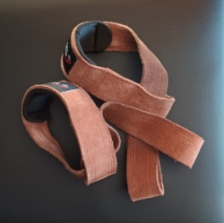 2842c01f-33a7-4d02-8751-f7e1510b2eb4