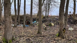 219e0495-286c-449c-b351-7d0bcfc23669