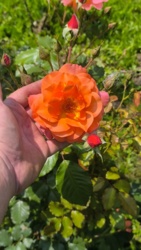 cec37c46-c002-4ec5-90be-f6e8a304fc9f