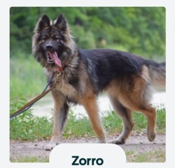 08fe43ca-44eb-4d7d-a5c7-02a77382ce3f