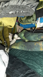 1810aca5-f587-4d57-bbe8-6c650190a7ae