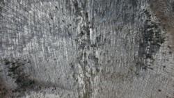 05a8d94d-9f89-4bd3-bea2-18362514cc93