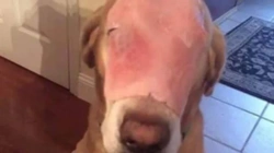 61414eb3-d699-4424-aca9-1b3a6e70cd4a