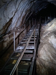 ca1e2663-ff1f-414a-bdd7-00eafcf2daee