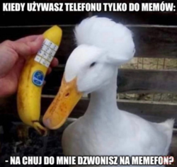 61b504dc-3b22-401e-9f42-e7d207ab2dfd