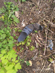 5ae5033b-087e-4d01-82bb-3cd142ab075f