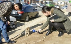 aaf27a25-5fef-4be6-b7bc-215bd97f4a70