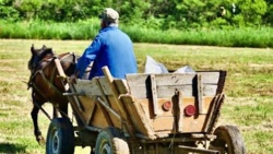 98eaa016-b783-4c47-83fe-b4c30798b26e