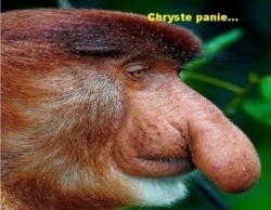 c9cb5f95-c344-47d6-80be-1b34b9e4e438