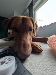 fff72a9a-8cf6-4711-9033-5427fffc944c