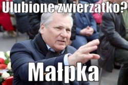 a4fceb46-9030-4475-8617-10d1aea72442