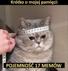 0ec16357-912b-40cf-acf2-2782633a4772