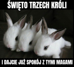 e928c7ec-5d13-4977-90d2-79d4fa97e4e8