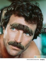 5e9e9006-53e5-4b76-b09b-9aac09869cb3