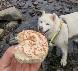 1a1f59bb-501e-496f-b8ed-df2e9ca063c2