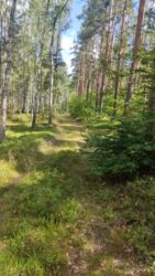 c3ded9a4-b342-4bb8-bf50-d803c384d189