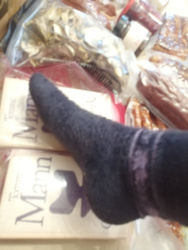 d4b77a55-b319-4bdd-be78-482c085bfee1