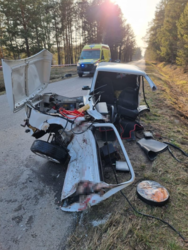 9d117431-b972-453d-80c4-50e9a4a2d1d5