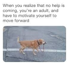 5f528fd3-41e4-49ed-8152-422511ac06ac