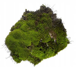 10c68f56-88f5-4cca-84b6-a1f3f9a87b37