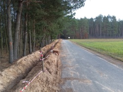 e2bed599-628c-456e-9587-438914f0900d