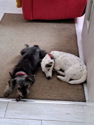 dd96abce-20a8-4f71-8693-83cd177df5dd