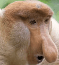 29249092-3f88-4541-bc8a-c08d57c7b3f1