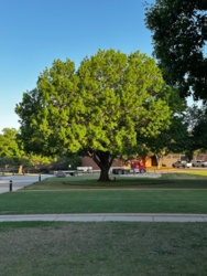 4cd0580e-27ba-4dc0-af08-4d39290086ef