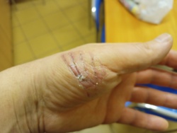 7427455c-2bb0-4d63-a8a9-e7ba263e64cf